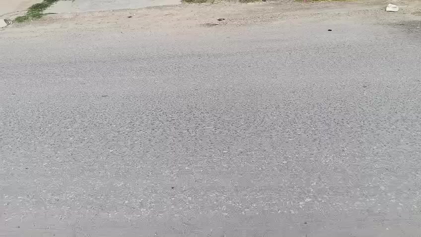 للبيع دار سكني – بكرلي / العبودية (قرب آخر قوس)

المساحة: 200 متر – طابو
 صرف

مواصفات الدار:

طابقين

الطابق الأول: غرفتين + صالة + كَلدور + استقبال + مجمع صحيات

الطابق الثاني: غرفتين

للاستفسار والتواصل: ***********
