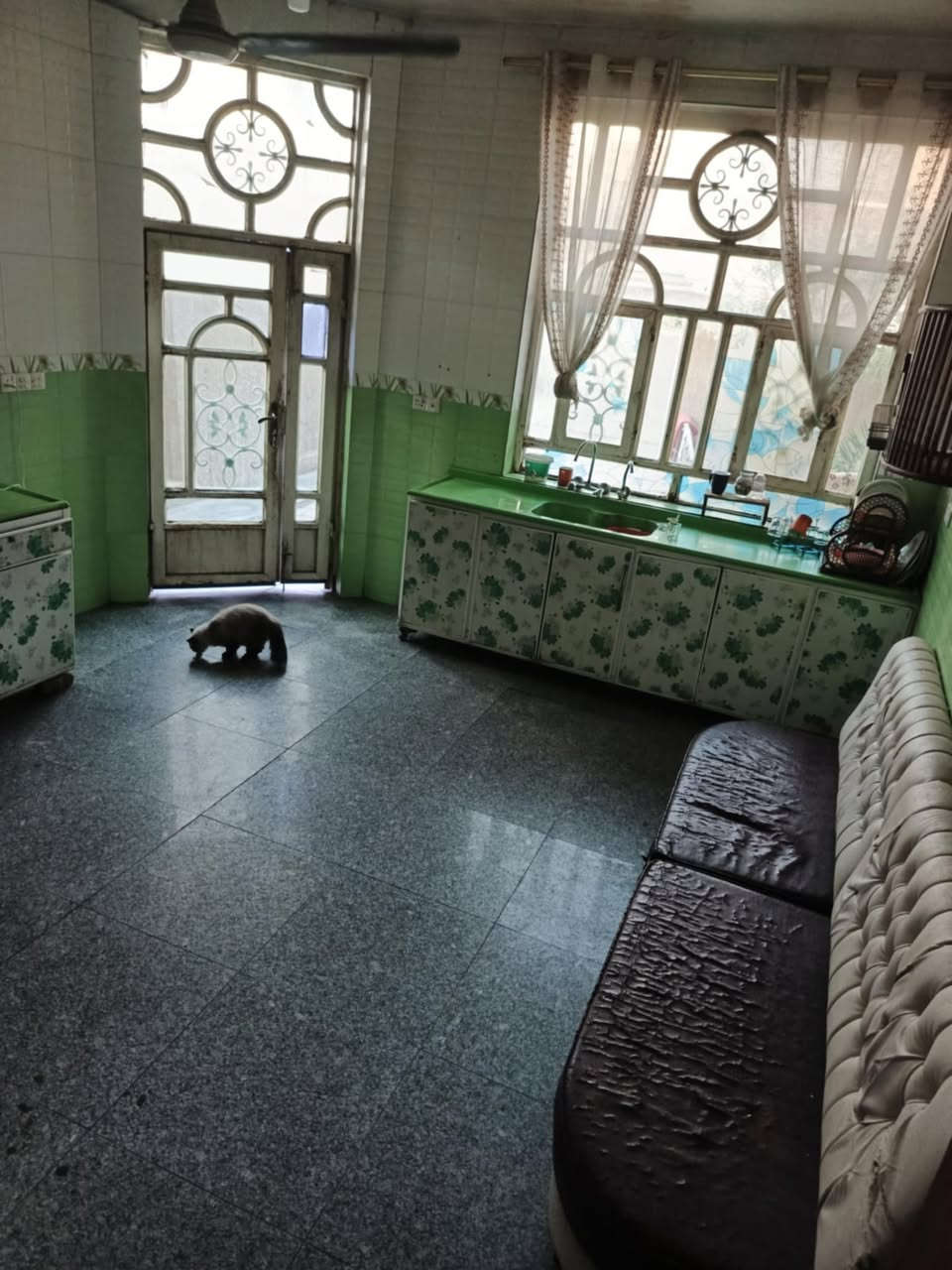 دار 200م ركن طابو زراعي سند25.يحتوي على صاله +مطبخ+كلدور+غرفة نوم+مجمع صحيات +صحيات خارجيه في الطابق الاول. ويحتوي على غرفتان نوم+كلدور+مجمع صحيات في الطابق الثاني.
مكان المنزل الحله شارع80كربلاء. مقابل الشارع المؤدي الى العلويه شريفه قريب ع الشارع العام.
للاستفسار الاتصال على الرقم:
***********
