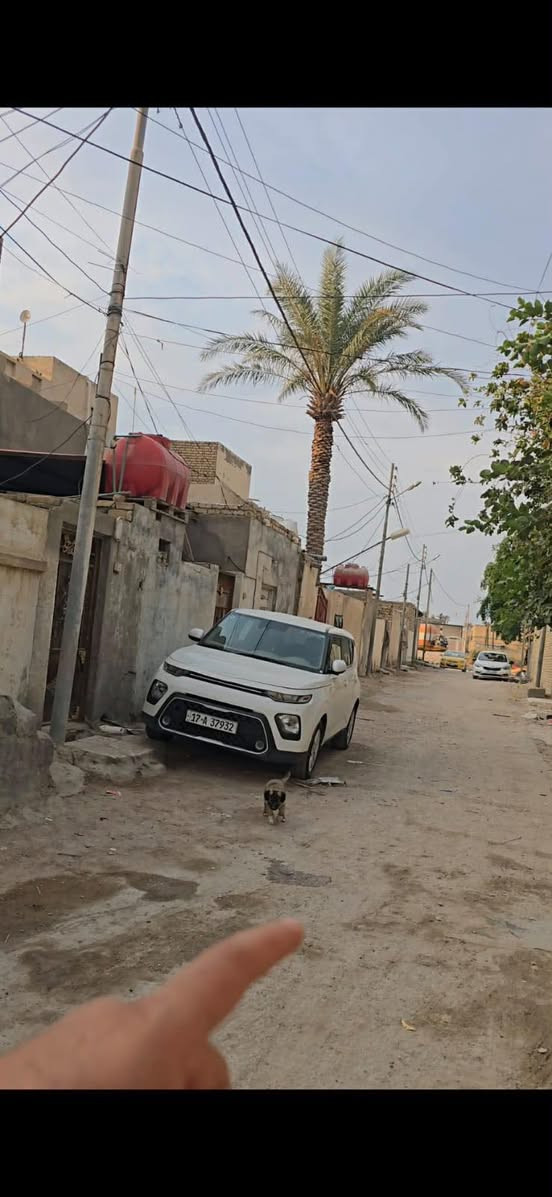 السلام عليكم
🏠بيت للبيع 🏠
في حي الشهداء الاول خلف مركز الشرطة الشرقي📍
الفرع قبل الاخير  ٢٠٠م طابو كونكريت ♦️مسلح البناء قديم
♦️البيت مقسم ٣ اقسام  غرفتين ♦️وصاله واستقبال وصحيات. الطابق ♦️الثاني  بناء متكامل غرفه واستقبال ♦️ومطبخ وصاله وصحيات بناء جديد ♦️الطابق الثاني نظافة البيت الارضي ♦️كما ماموضح بالفيديو
♦️السعر 85
للاستفسار مكتب الحي للعقارات والمقاولات العامه
***********//للتواصل واتساب
