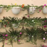 سندانه • الوان زاهيه • كمية محدودة