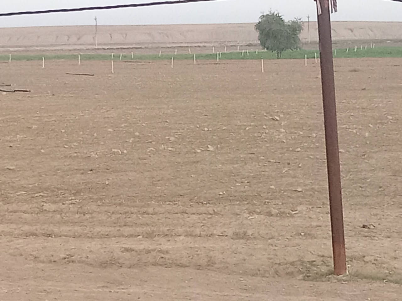 دونم للبيع في الطيوب واصله كهرباء واسأله لاستفسار ***********
