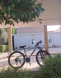 ياباني • جديد • حذاء رياضي