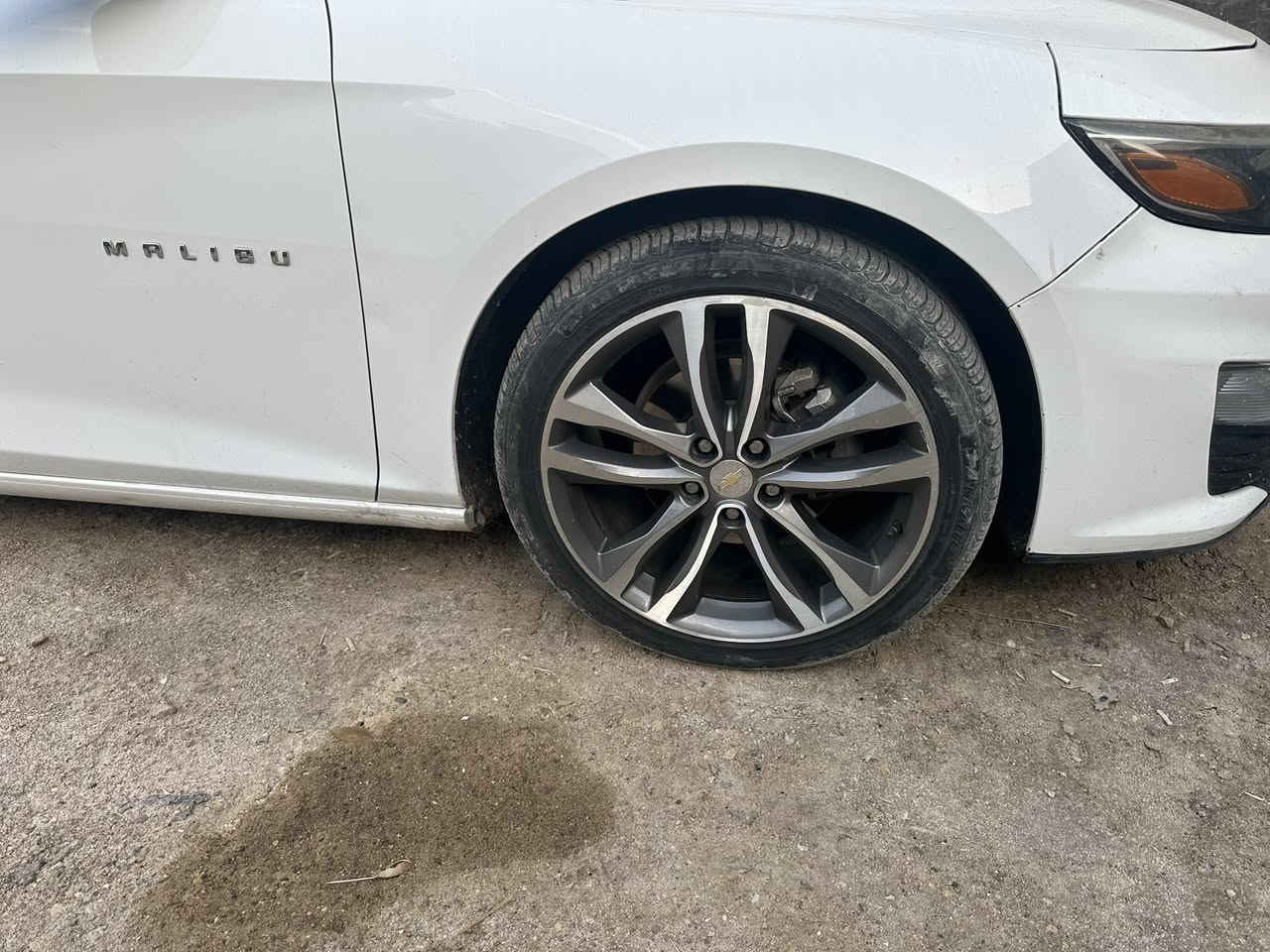 لسلام عليكم عندي ويل 19مال بريمير اريد مراوس ب 17او18مثل البل صور اي ستفسار نتصل ***********//***********
