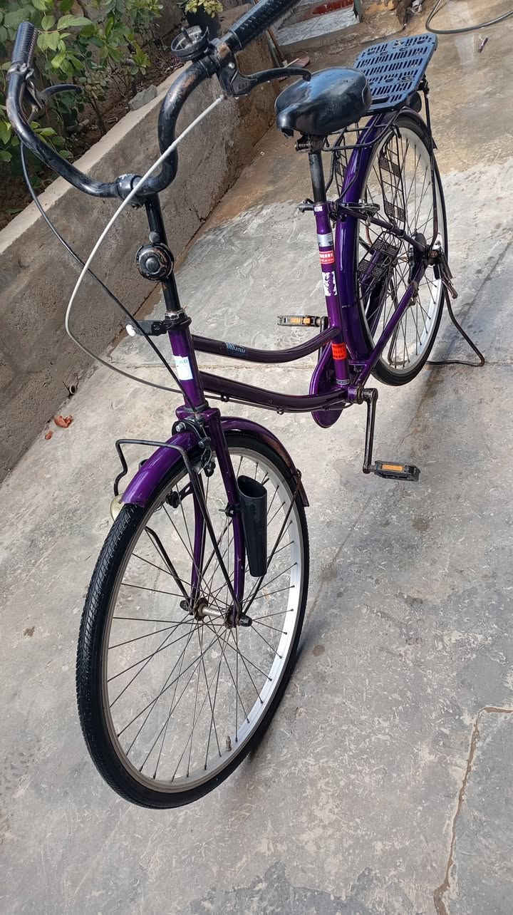 بايسكل للبيع مكان ديالى بعقوبة تقاطع الساده السعر ٨٥ حجم٢٦
 ٨٢٦٦ ٠٧٧١٦٥٦
