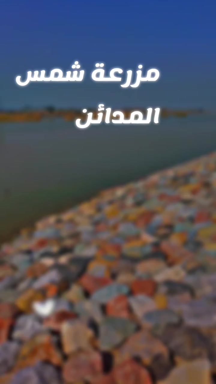 مزرعة شمس المدائن 
بغداد . المدائن . سلمان باك 
الحجز مفتوح
***********
