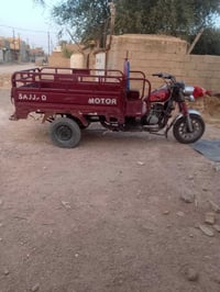 ستوته • دم الغزال • موديل20