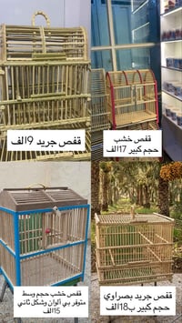 أقفاص بلابل • مستلزمات طيور • شغل يدوي