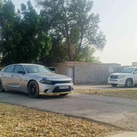 جارجر 2016 أمريكي بيه بنيد وجاملج تبديل الاستفسار  الاتصال على الرقم 0...