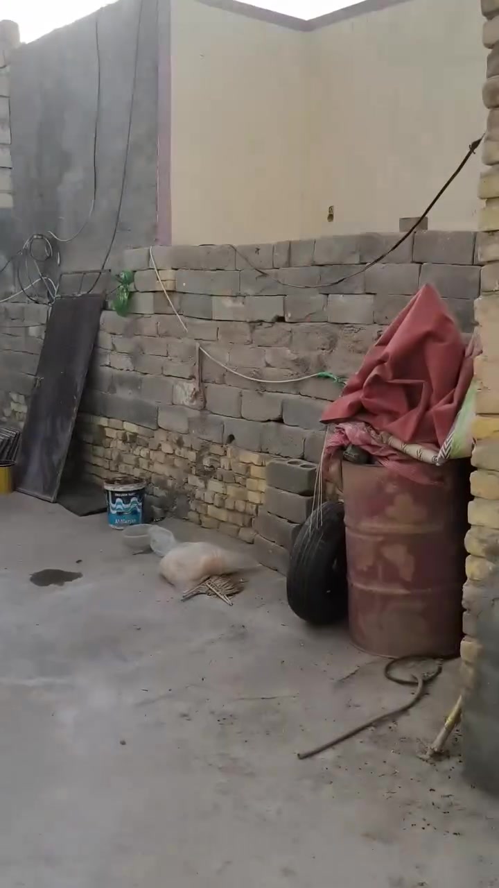 ‏‪0789 372 0592‬‏
يم جوهره العرب
