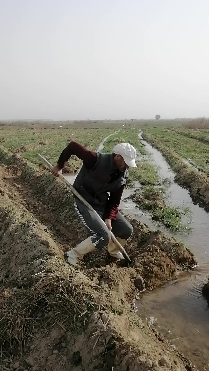 اي مكان اسجي بيجي بعيجي جيسات اشويش حي مهندسين. جريش مالحة مزرعة #سجي #بي #صمت #ودع #الحنطة #تتكلم
#سجي #بدون #توقف #لان #الكاع #يابسة #والجو #حار #والحنطة #تحتاج #ماء.#وموطورك #اترسة #كاز #وجهز #ترمز #الماء #البارد #لشرب 
#ورتب #جايك #المهيل #عل #جمر. اني حاضر  ***********
***********
