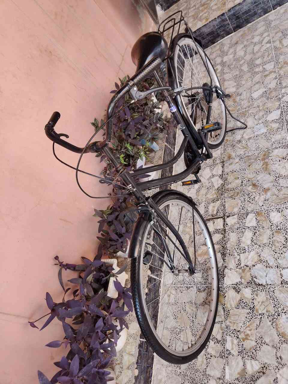 🚲 للبيع باسكل حجم 26 بحالة ممتازة
✔️ البريك الأمامي والخلفي شغال 100٪
✔️ سياقة مريحة وخفيف بالحركة
✔️ جاهز للاستعمال مباشرة بدون أي تصليحات

📍 المنطقة: حي العروبة
💰 السعر: 85

للاستفسار مراسلة خاص 📩


**إذا كنت صاحب هذا الإعلان وتريد حذفه لأي سبب، رجاءا أرسل رسالة إلى الدعم الفني**