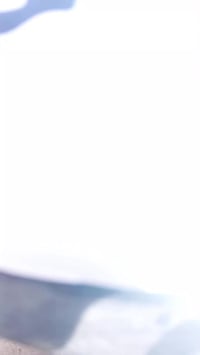 دولفين • نضيفه • عداد ٨٠