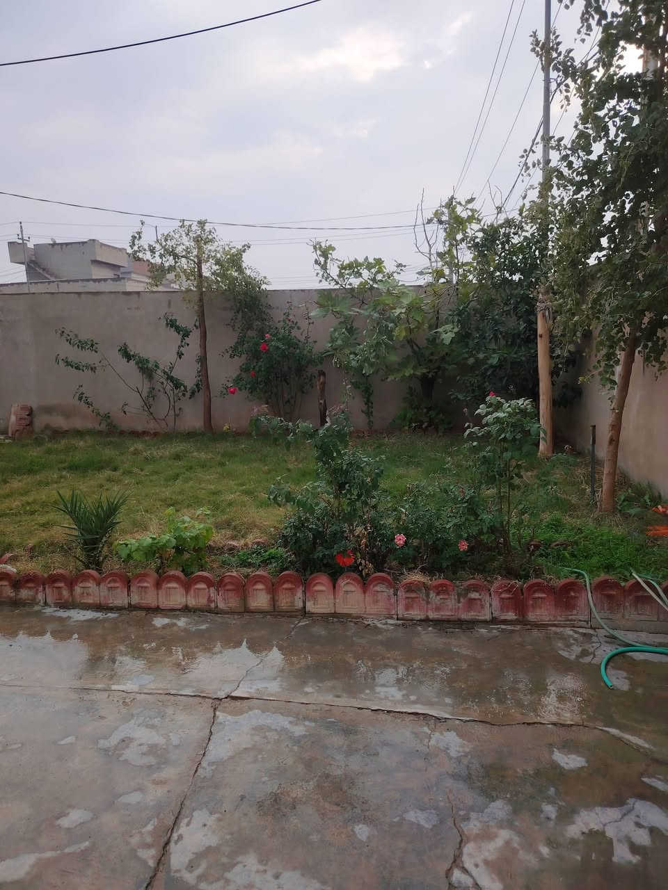 دار البيع ٢٠٠متر فيلق قرب جامع هاوكاري ***********
السعر ٣٦ وبي مجال
