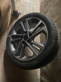 اخوان. تخم كامل ويل النترا رياضي 17 ليفيده يراسلني 07752112961