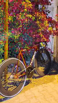 تسونامي SNM100 • فكسد • تاير مضيء