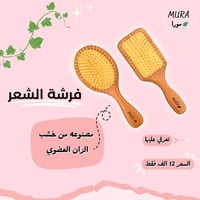 فرشة خشب زان • مضادة للبكتيريا • تفك التشابك