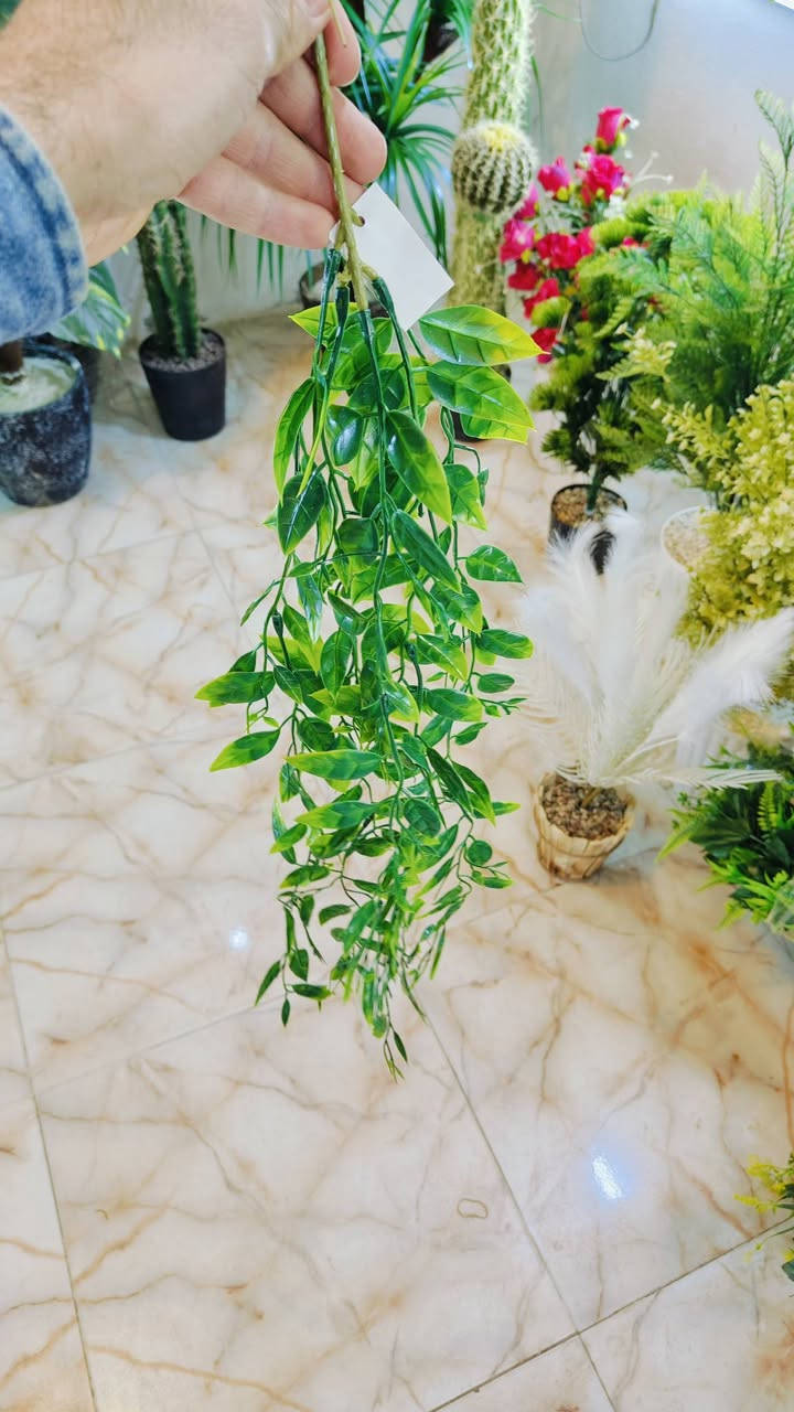 .اشكال وموديلات مختلفه من الأشجار الصناعيه🌳 ترضي جميع الأذواق🌴مقاسات مختله...
عنوان المحل #واسط قضاء #النعمانيه 
 الشيشان الجديد الشارع الرابع
    محل الغيث للتسويق المنزلي


**إذا كنت صاحب هذا الإعلان وتريد حذفه لأي سبب، رجاءا أرسل رسالة إلى الدعم الفني**