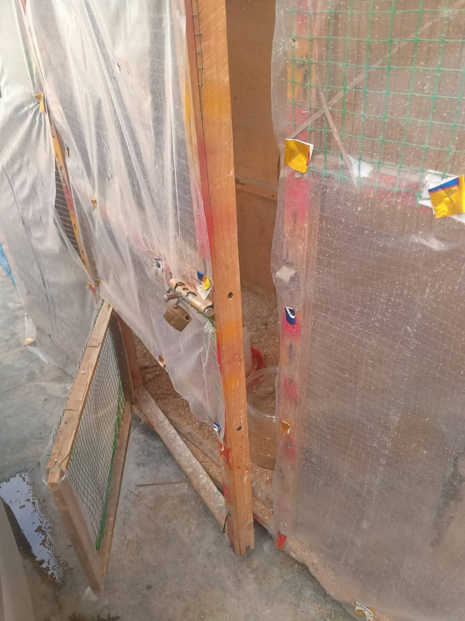 السلام عليكم
م ت اح 
قفص او محميه 
واجهيا مترين طول مترين عرض متر )) رايده  (( 50 ))


**إذا كنت صاحب هذا الإعلان وتريد حذفه لأي سبب، رجاءا أرسل رسالة إلى الدعم الفني**