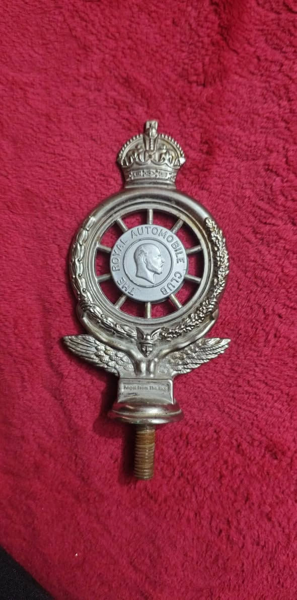 السلام عليكم 
برطاني ابتر للبيع
***********
