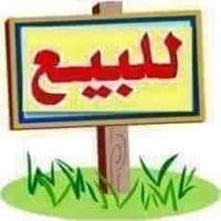 حلة وردية البوحمير • ٢٠٠م • طابو زراعي