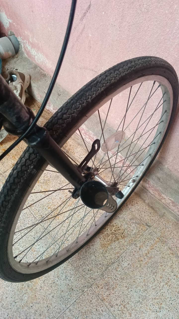 سلام عليكم
الحلال للبيع باسكل عبد الحليم شركه فورماج باسكل لون اسود الباسكل نضيف غراضو كامله طفاريات وبريك كدام ابيعو هو والغراض باسكل تجي تشوفو كدام العين كفاله عامه من التايه للتايه الباسكل سعرو 90 وبي مجال خاص او رقمي ***********
