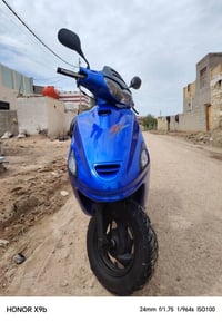 فراشه فحل • جاهزه • بابل القاسم