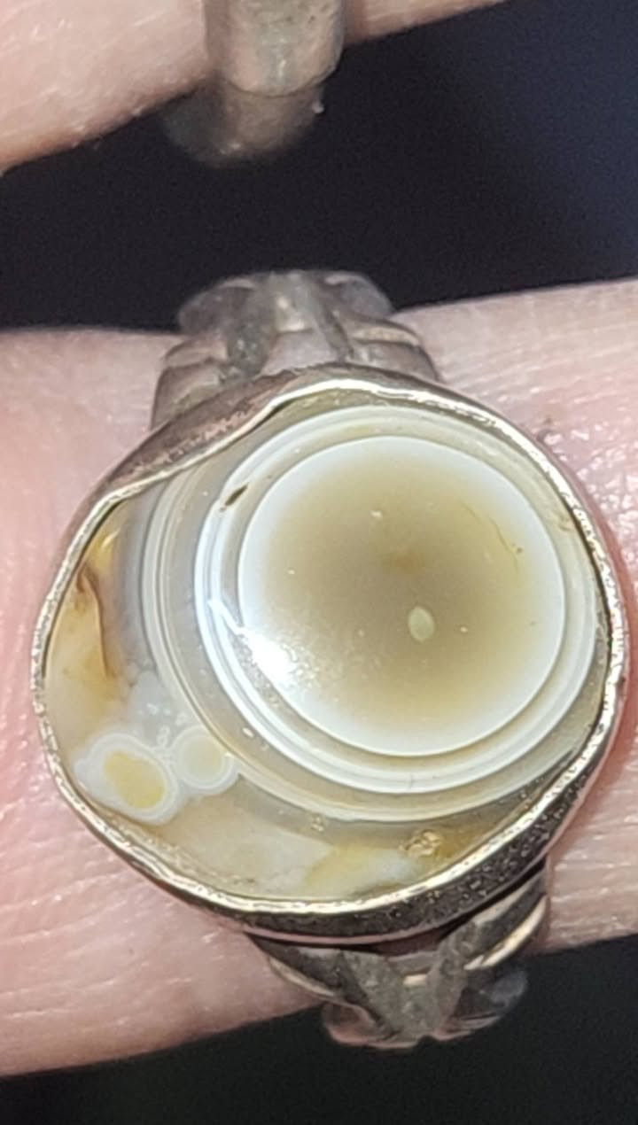 خواتم إسليماني عيون روعه للبيع كلمن وسعره واذا شلع بيهن مجال يوجد توصيل كافه محافظات


**إذا كنت صاحب هذا الإعلان وتريد حذفه لأي سبب، رجاءا أرسل رسالة إلى الدعم الفني**