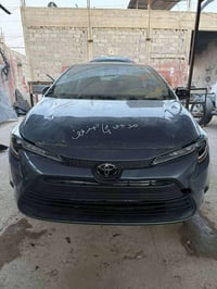 كورلا ٢٠٢٤ • بدون صبغ • مرقمة شهدا بابل