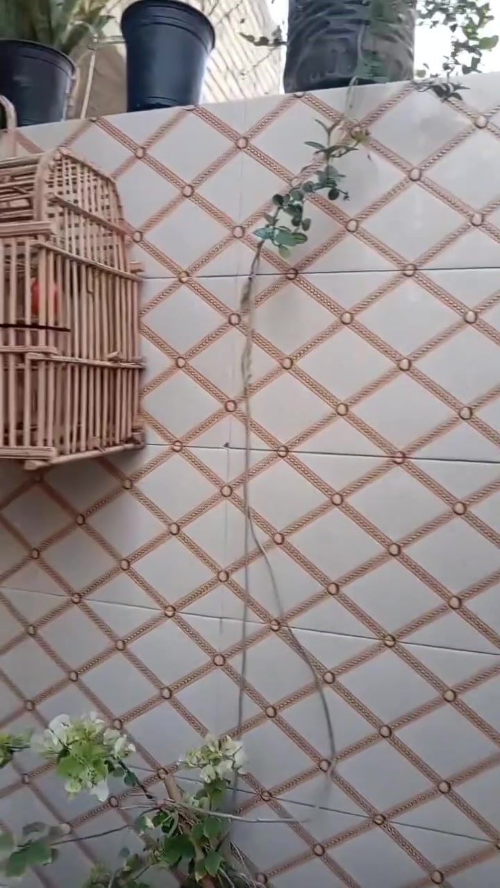السلام عليكم بيت البيع ١٠٠متر طابق ونص بنا حديث سعر خاص رقم تلفون ***********
