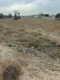 ٢ دونم • طابو زرعي سند ٢٥ • قرب العلويه شريفه