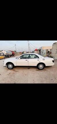 ابيض صدفي • ١٩٩٥ • رقم بصره