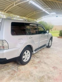 باجيرو • مصبوغ • ٢٠٠٨