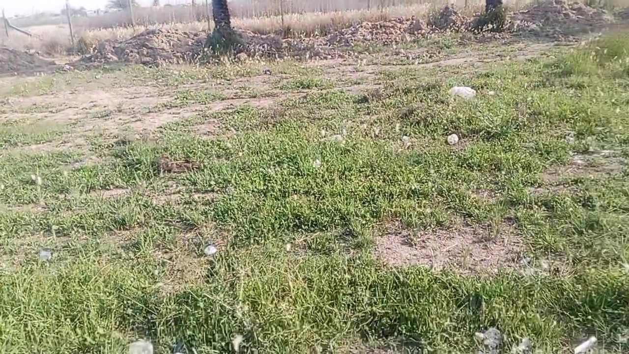 السلام عليكم 
قطعة لبيع 
مساحة 200 متر طابو زراعي سند 25 
تحويل مباشر بسمي 
الموقع شارع المعاره قرب السكلات 
قطعة ركن على شارعين 
متوفر كافت الخدمات 
اي ستفسار 
‏‪***********‬‏
