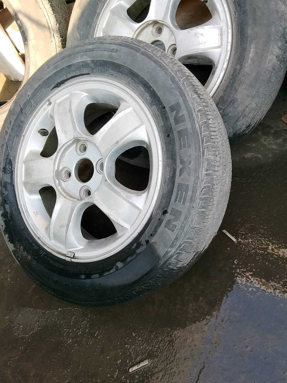 تخم تأير معه ويل كب اكسنت مقدس سعرهن مناسب ***********
