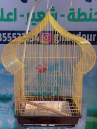 قفص قلب • ذهبي • درجة أولى