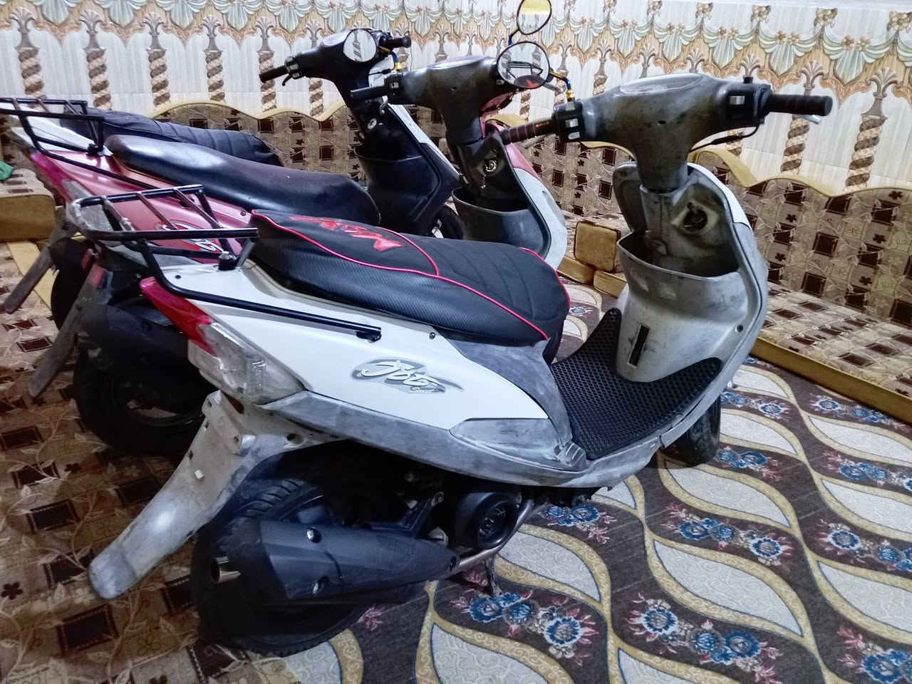 ماكسات منغولي 50 بلاد كامله اي نقص مابيهن ب550 وبيه مجال / ***********نتصال /وتساب
ناصريه مركز ❤️👆🏻
