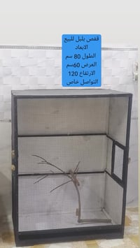 قفص بلابل • 80×60×120 • موصل الجانب الأيمن
