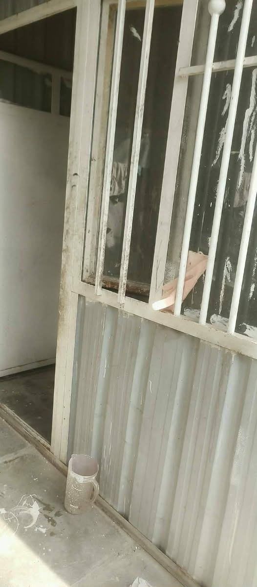 جينكو ولحديد للبيع المكان بغداد لشعله حي الجوادين سعر ١٠٠وبي مجال


**إذا كنت صاحب هذا الإعلان وتريد حذفه لأي سبب، رجاءا أرسل رسالة إلى الدعم الفني**