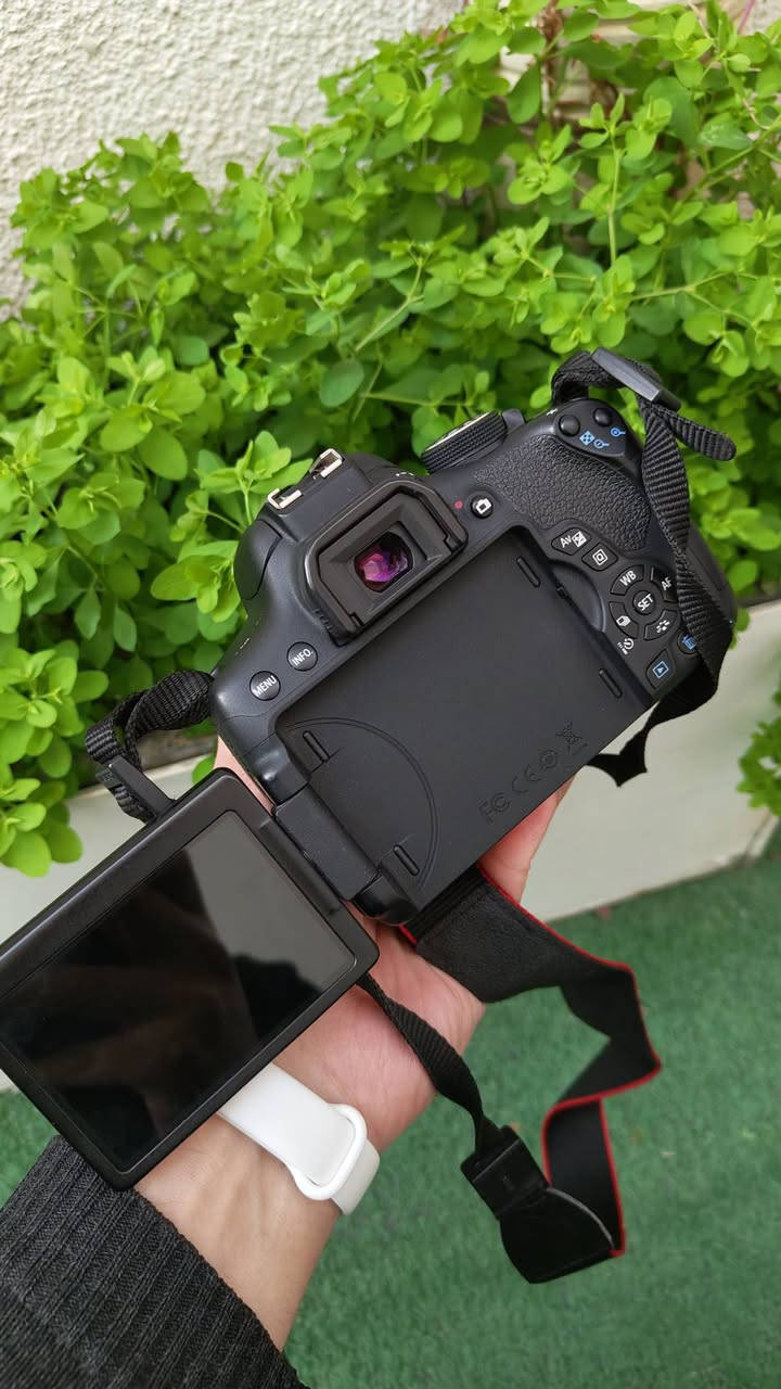 كانون 750d
استخدام شخصي نضيف 
مع عدسة رياضي كانون وكامل ملحقات ب625
او مراوسة ويا كامرة احدث ميرورليس


**إذا كنت صاحب هذا الإعلان وتريد حذفه لأي سبب، رجاءا أرسل رسالة إلى الدعم الفني**