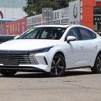 BYD دستروير 2025 مرقم بغداد ماشية 120 كم فقط زيرو  مكفولة كفالة عامة  ...