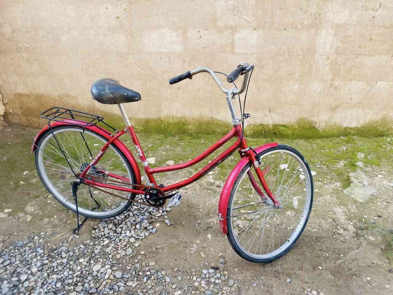 نظيف حيل حجم 26
سعرو 55


**إذا كنت صاحب هذا الإعلان وتريد حذفه لأي سبب، رجاءا أرسل رسالة إلى الدعم الفني**