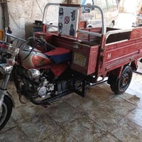 ستوتا • موديل 2019 • أوراق أصولي