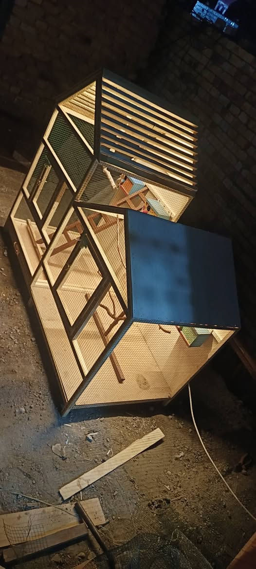 قفص بلابل للبيع الارتفاع /135/ العرض/ 155/ النزال /75 / مكانةة الديوانيةة حي العسكري الصدر الثاني اكو توصيل داخل الديوانيةة فقط
السعر خاص 
*********** واتساب 
***********
