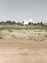 أرض زراعي • سند ٢٥ • ٢٢٠م