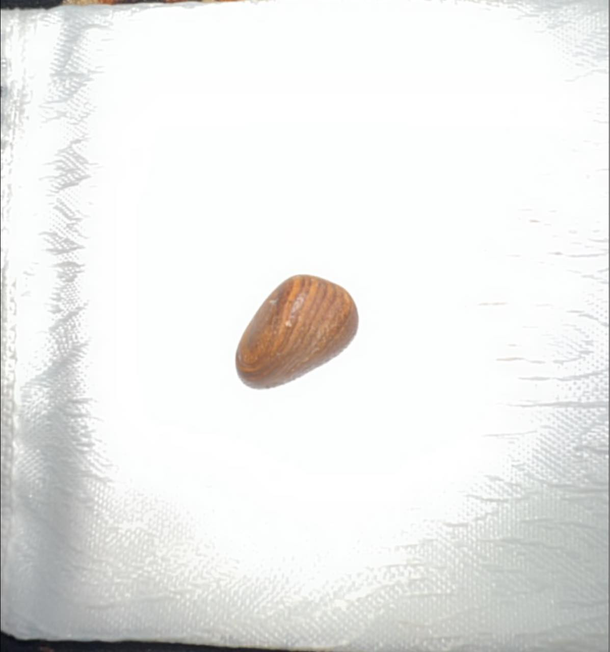 سلام عليكم مجموعة احجار كريمة مع احجار روحانية بيهم سليماني بيهم داوودي بيهم سلطاني  راسلني وتدلل وذا  تردون سلعة وحدة اساهل بيهم ان شاء الله ***********
