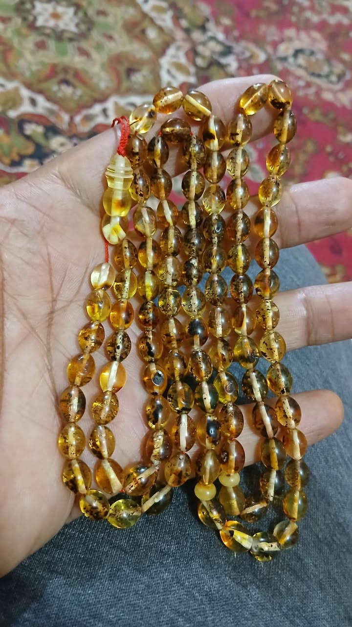 كهرب كالينكرادي حر طبيعي مكفول 
سعر الغرام 1500 دينار 
توصيل 5 الالف دينار


**إذا كنت صاحب هذا الإعلان وتريد حذفه لأي سبب، رجاءا أرسل رسالة إلى الدعم الفني**