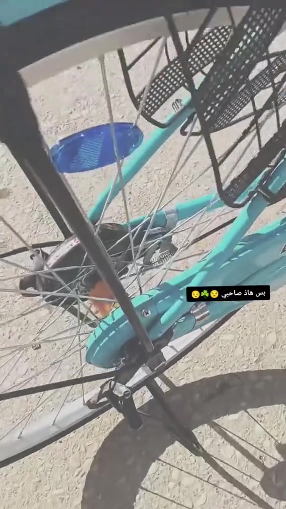 السلام عليكم  من رخصة صاحب الكروب باسكل للبيع نضيف و قليل استخدامة سعره 100 و بي مجال قليل


**إذا كنت صاحب هذا الإعلان وتريد حذفه لأي سبب، رجاءا أرسل رسالة إلى الدعم الفني**