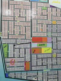 ابو غريب آلصديق • ٦٥م ٥×١٣ • بدور بغداد