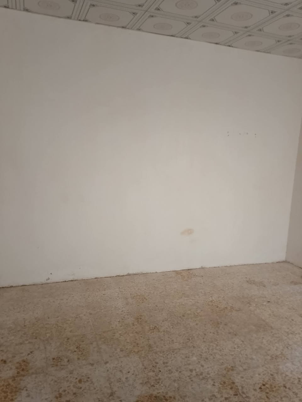 بيت 50م في حي الرحمة نظيف جدا يقع خلف مطعم ثابت يحتوي على غرفة وصالة ومطبخ وحمام ومنور السعر 21 ‏‪وبيه مجال للتواصل الاتصال على الرقم 
‏‪***********‬‏
