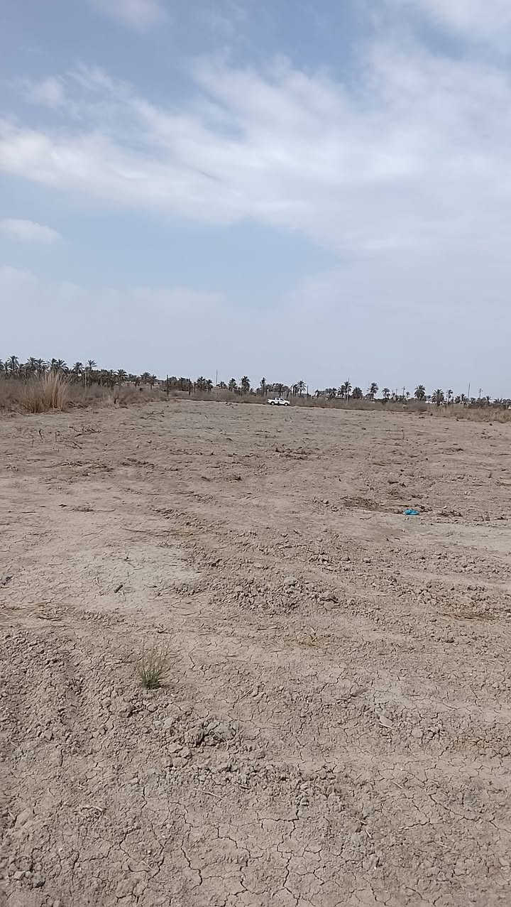 سلام عليكم  اخوان قطعت طابو اسود صرف مشترك ارض اربع دوانم اله ربع نهر رايسي بضهرها شارع كهربه بوري اساله ابو سدته بشارعها بس تعرفون ماكو ماي مكانها الهارثه المسحب المسراح تفاصيل تصال ***********
